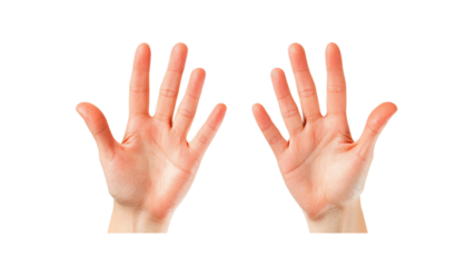 Two Open Palms Showing Five Fingers Each, Isolated on White Background
