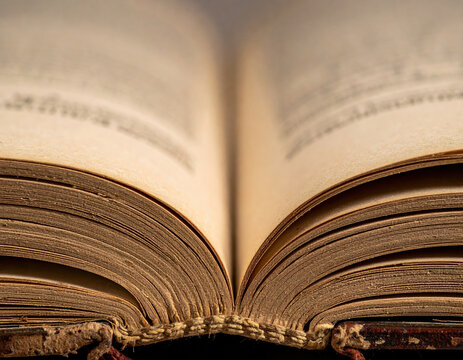 Closeup shot of open aged book page, its pages worn smooth with age and adorned with intricate details