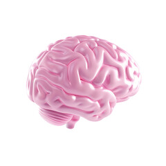 Pink Brain Anatomy 3D Render Medical Illustration on transparent background