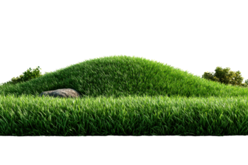 Green Grass Hill: A rolling green hill with lush grass, a solitary rock, and a few trees, perfect for adding a touch of nature to your design projects.