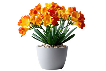 Golden Freesia in Ceramic Pot: A captivating image of radiant orange freesia flowers, nestled in a minimalist white ceramic pot, adding a touch of elegance to any interior decor. 