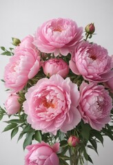 Fototapeta premium Vibrant pink peonies and roses bouquet White background Copy space , celebration, bouquet