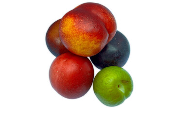 Pile of fresh, colorful plums and nectarines on white background.