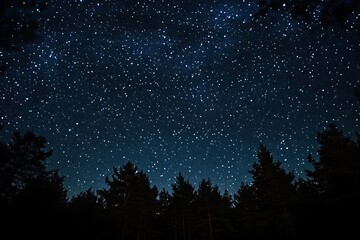 Starry Night Over Forest