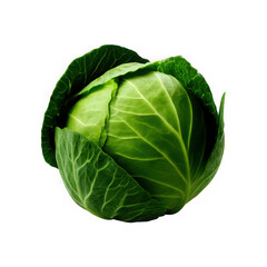 Obraz premium Fresh head of cabbage, isolated on transparent background