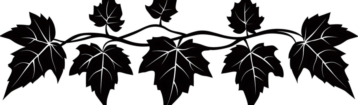 Vine leaves border design, nature