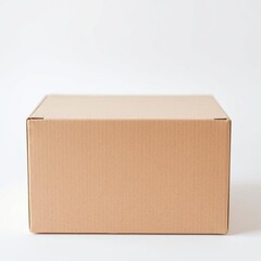 White Background with a Closed Light Brown Cardboard Box