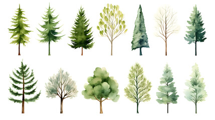Professional Watercolor Tree Collection for Label Logo Designers
