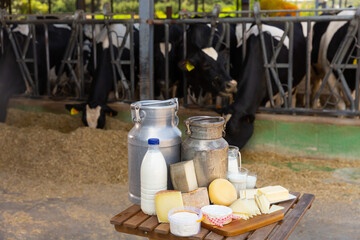 Image of fresh dairy products on the table on the farm against the background of cows