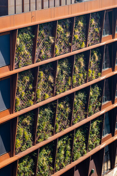 Modern facade with vertical garden and warm-toned frame design, representing sustainable urban housing and integration of greenery in Copenhagen, residential development.