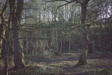 A look through my recent landscape photography.