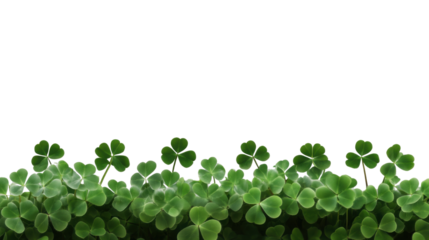 Green Living Leaves Wall Panel in Modern Office Interior for Natural and Eco-Friendly Ambiance Isolated on White Background