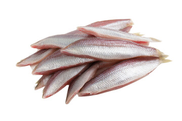 Fresh Cleaned Fish Fillet