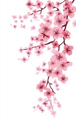 Free hand drawn cherry blossom white background