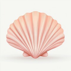 Soft pink scallop seashell isolated on white background with smooth texture and gentle shading