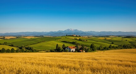 Tuscan landscape representing rural beauty and tranquility, featuring golden wheat field and rolling hills