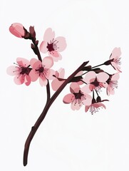 Naklejka premium Free hand drawn cherry blossom white background