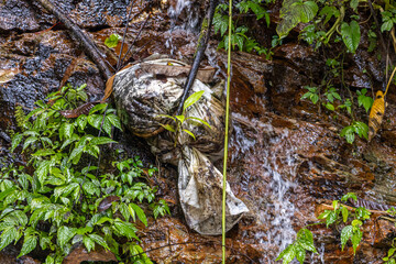 Garbage hangs in a rock with water running down it, in a tropical forest