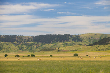 Hay bales in a meadow at Wind Cave National Park, South Dakota