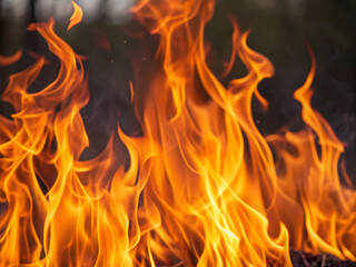 fire flames background. fire, flame, heat, hot, burn, burning, orange, abstract, red, black, inferno, fireplace, bonfire, flames, danger, yellow, light, blaze, warm, fiery, energy, campfire, blazing, 