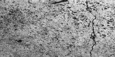 Grey textured concrete wall background. eps 10