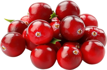 Closeup Cluster of Fresh Cranberries