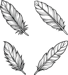 Obraz premium Detailed feather line art Vector set illustrations