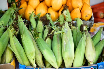 Fresh baby corn in husk and silk is neatly displayed at a Taiwanese wet market. Sunlight highlights its freshness and seasonal charm through vivid green and gold contrast.