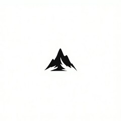 Fototapeta premium mountain fuji in japan