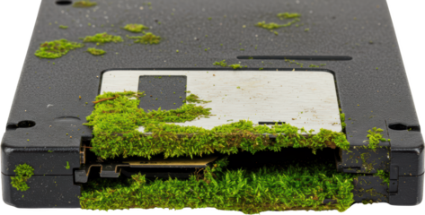 Overgrown Floppy Disk Nature Reclaiming Technology Moss Covered Vintage 5 25 Diskette