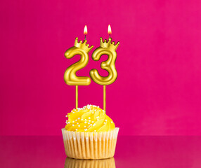 Yellow birthday cupcake with a number 23 candle - Birthday card on a pink background