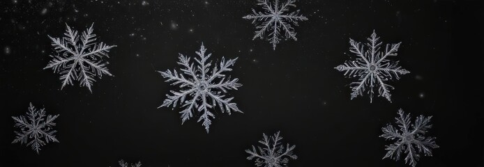 Intricate snowflakes falling against a pure black backdrop ,  abstract,  ice crystals