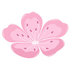 Blooming Cherry Blossom Flower . Flat and Simple Pink Sakura.
