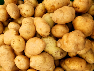 A pile of fresh, large potatoes, clean and smooth skin, ready for sale. Perfect for frying, boiling, or baking. Big stock, guaranteed quality, ready to ship to various locations.