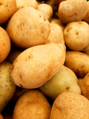 Large, fresh potatoes, just harvested. Great for households or businesses. Big stock available, ready for wholesale or retail, top quality and always fresh for your satisfaction.