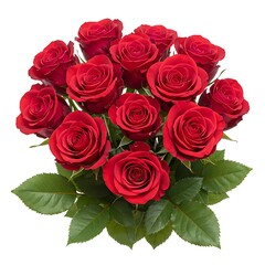 Obraz premium Bunch of vibrant scarlet roses with green leaves isolated on white background