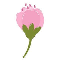 Bud of Cherry Blossom Flower. Flat and Simple Pink Sakura.
