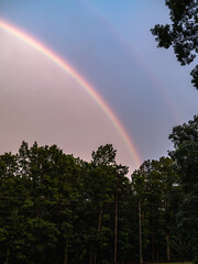 rainbow in the sky