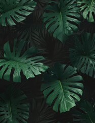 Abstract dark green tropical leaf motif, bold shadows, intense color , bold, black