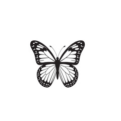 Obraz premium butterfly vector illustration silhouette with white background 