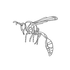 Hand-drawn illustration of a wasp insect in a minimalist linear style, for cards, posters, and graphic design.