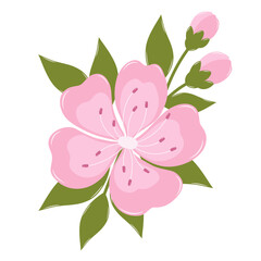 Cherry Blossom Flower With Buds. Flat and Simple Pink Sakura.