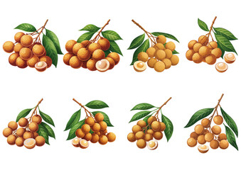  &ldquo;Luscious Longan Vector Collection &ndash; Asian Fruit Series&rdquo;