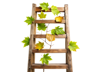 old wooden ladder clipart png image on transparent background