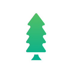 spruce tree 