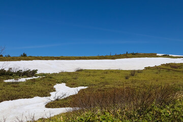高原を走る志賀草津道路（国道292号）からの風景。５月、まだ雪の残る山田峠。