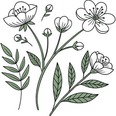 Hand Drawn Wildflower Meadow with Ladybug – Botanical Spring Nature Illustration in Vintage Doodle Style