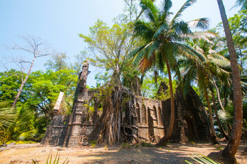 Fototapeta premium Old presbyterian church ruins Ross Island, port blair, Andaman and Nicobar India.