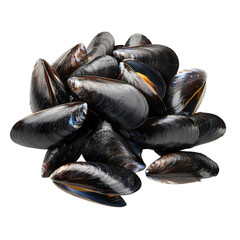 Pile of fresh black mussels, seafood, shellfish, and mollusks on isolate background