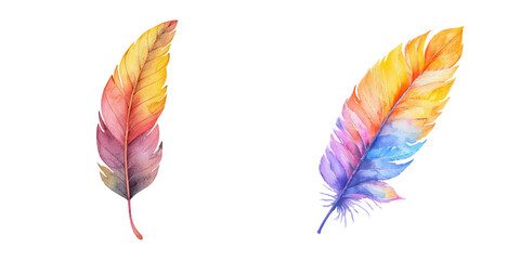 feather watercolor vector illustration
